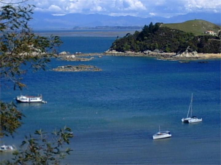 View from Front Lawn