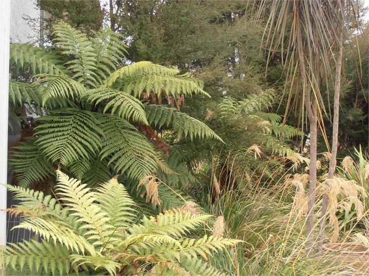 so...come along the walkway to Mapua Studio