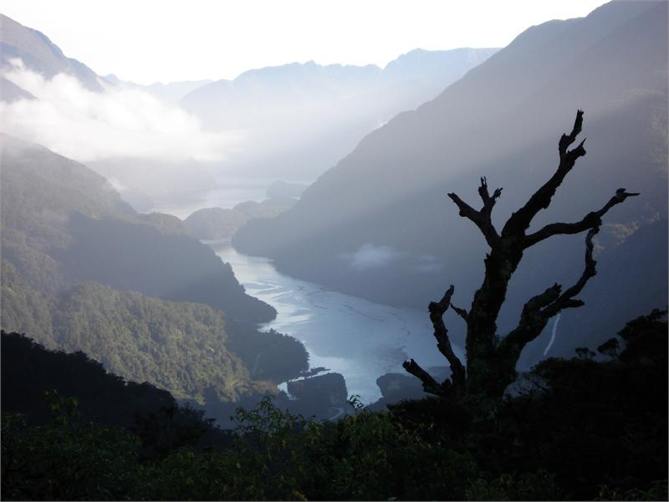 Wilmot Pass on way to Doubtful Sound