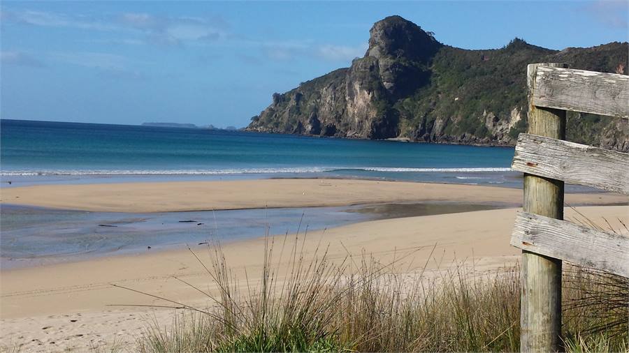 View from beach front property