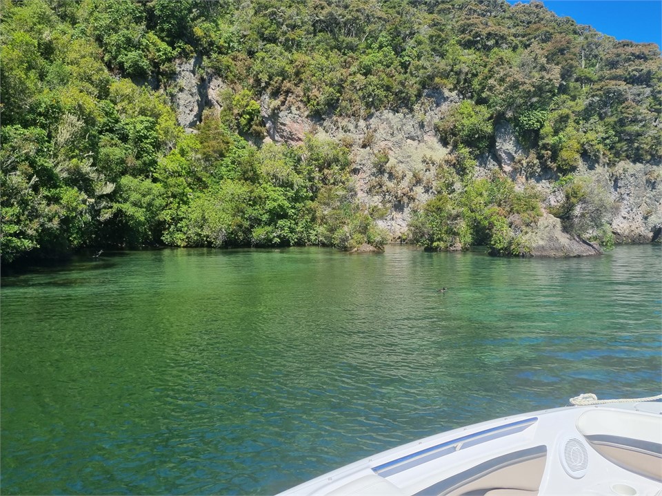 Lake Taupo Bays