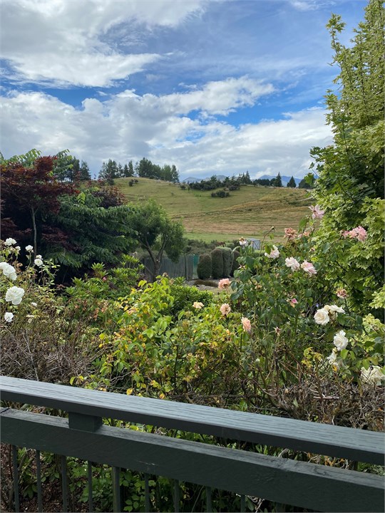 View of the garden and surrounding area