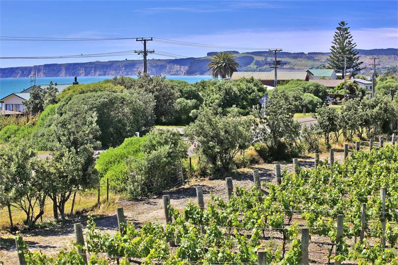 View of Cape Kidnappers