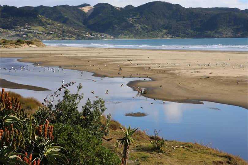 Looking south towards Shipwreck Bay