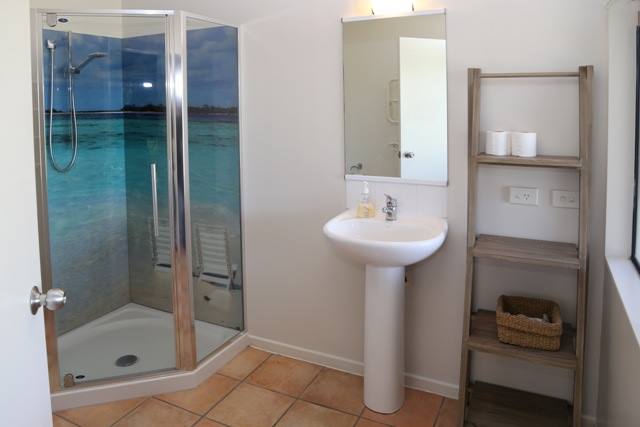 downstairs bathroom - shower, toilet & vanity