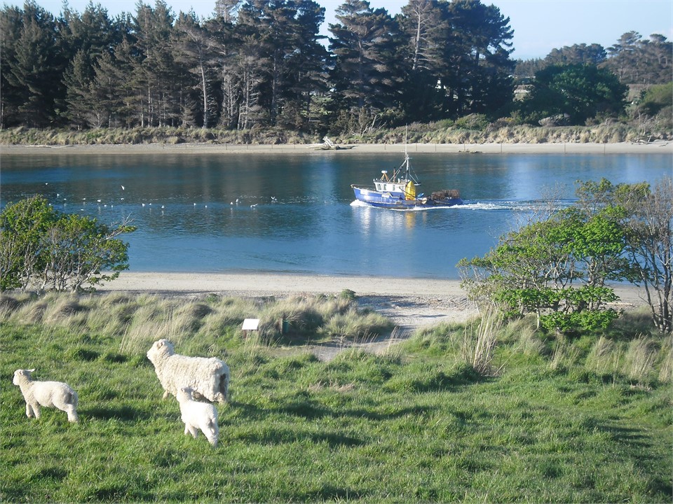 Some of what you see from ours ...