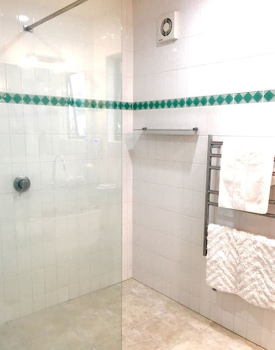 BATHROOM - WALK IN SATIN JET SHOWER