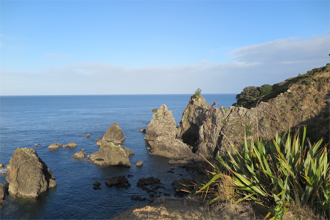 Tawharanui Park, 3km