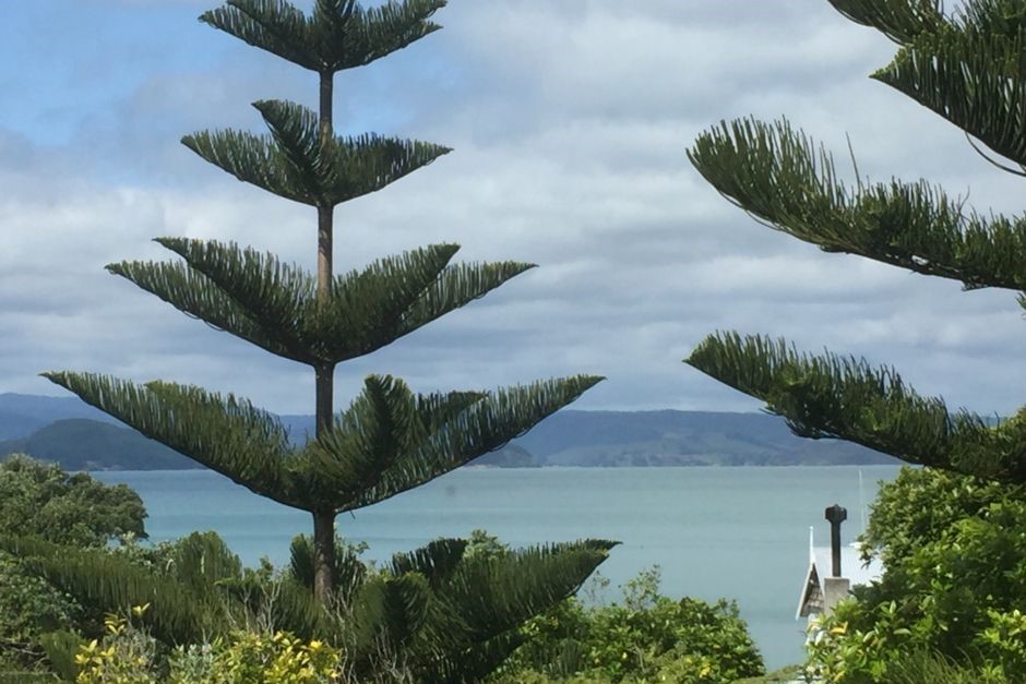 Bush & sea view from master bedroom