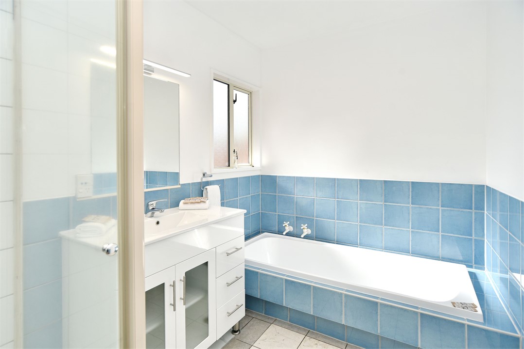 The master bathroom (downstairs)