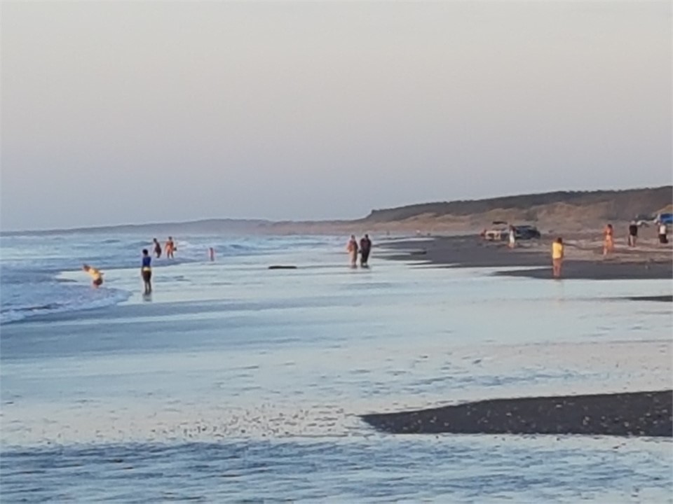 Safe swimming, with Surf Patrol in summer