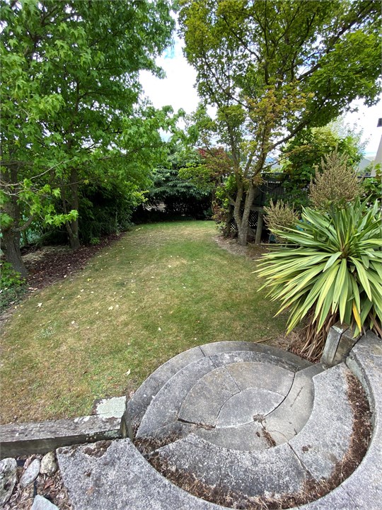 View of the backyard