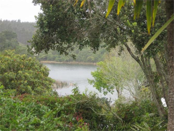 Te Weta Bay from deck