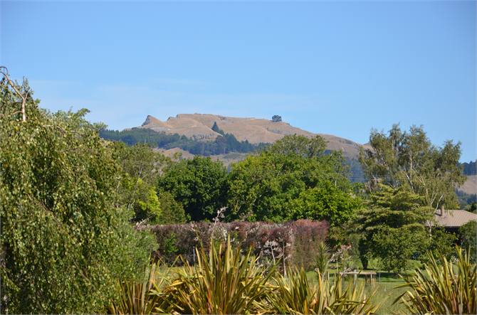 Temata Peak View