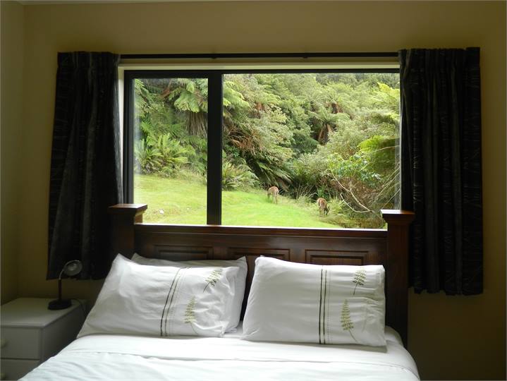 2 fawns grazing on the back lawn.