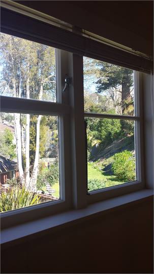 View from third bedroom window