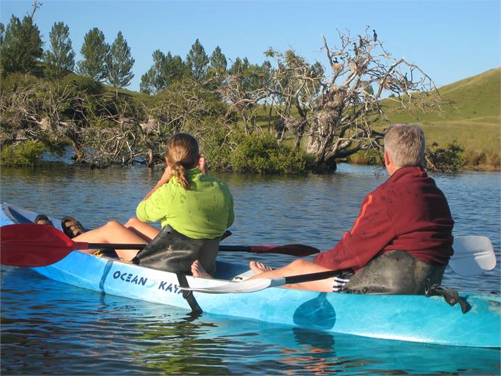 Up close to the Bird life on the lake