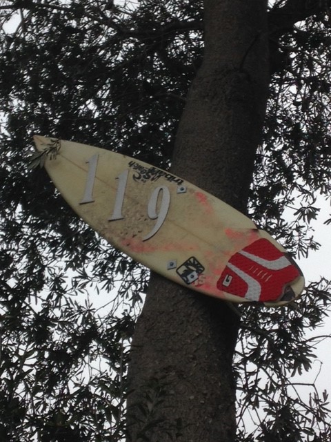 Great beach to surf, lessons available surf school