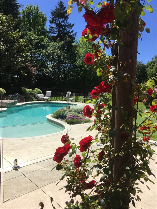 Owner's pool for guests to enjoy