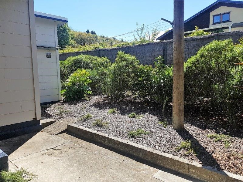 Washing line area with fruit trees