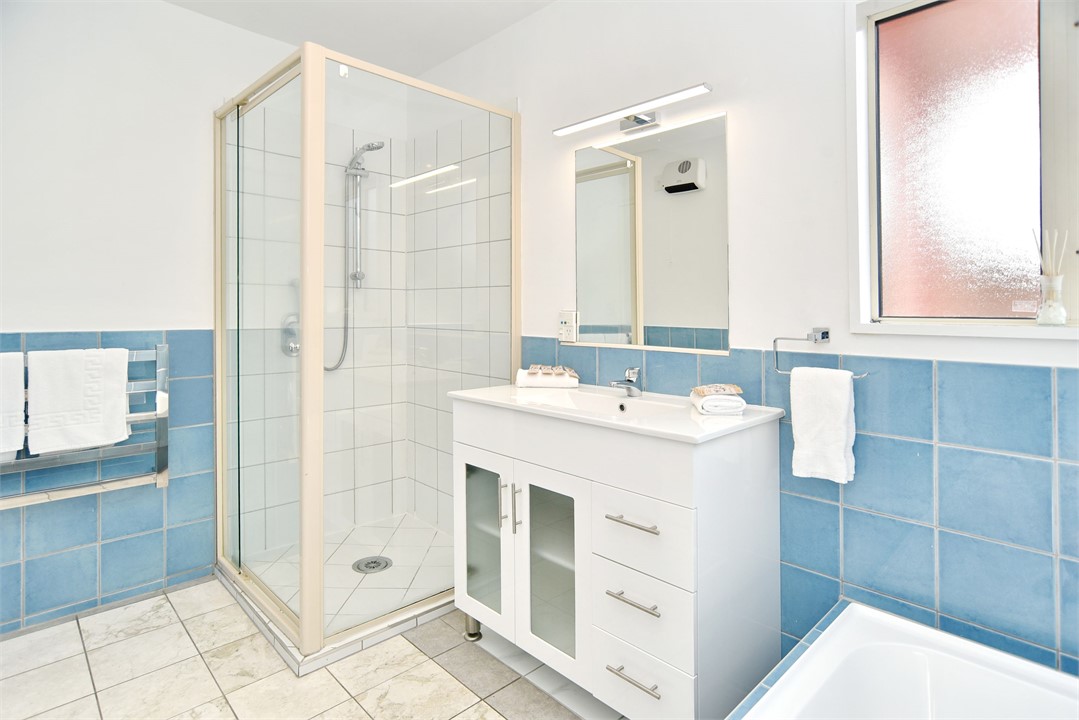 The master bathroom (downstairs)