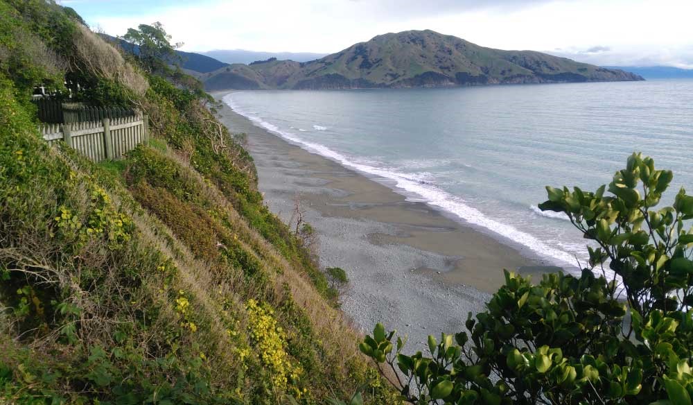 Looking down on to the beach from the bach area -