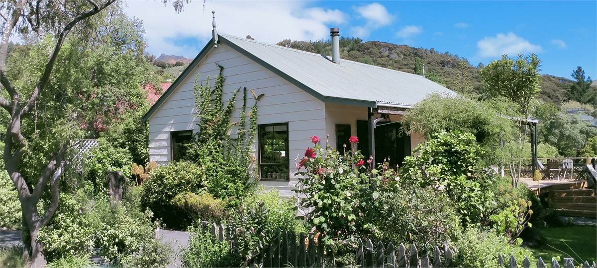 Old red rose bush coming into bloom