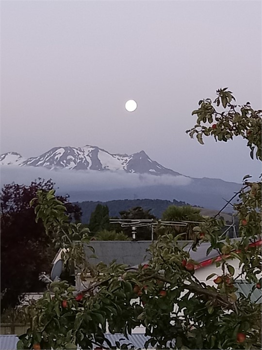 Lovely view from our property