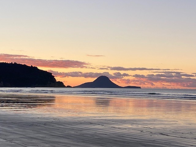 Beautiful Motuhoroa Island straight down the drive