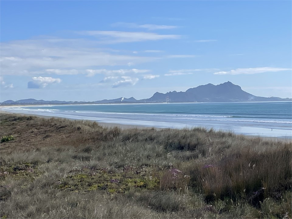 Whangarei Heads from beach