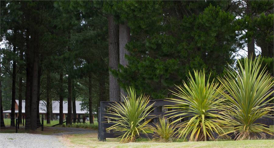 Woodbank Park Cottage Entrance