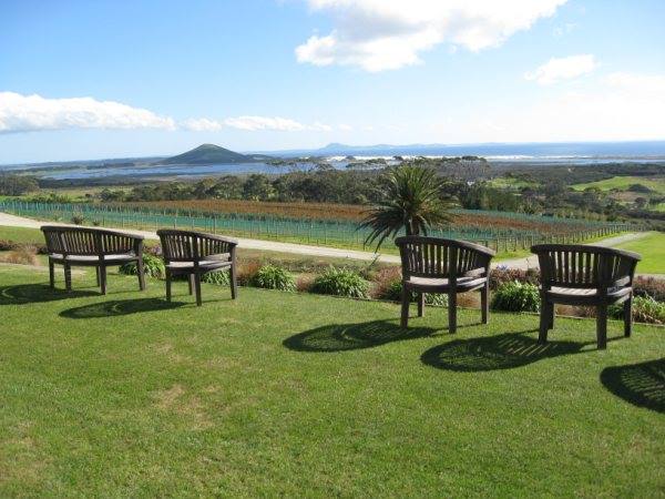 Carrington Winery view over Karikari Beach