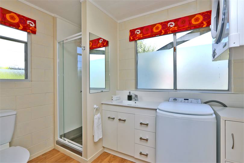 Rumpus room bathroom/laundry