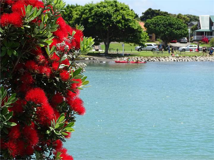 Local safe swimming beach and playground