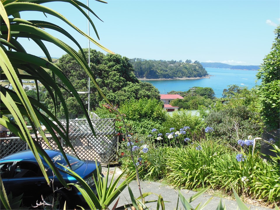 View from back bedroom