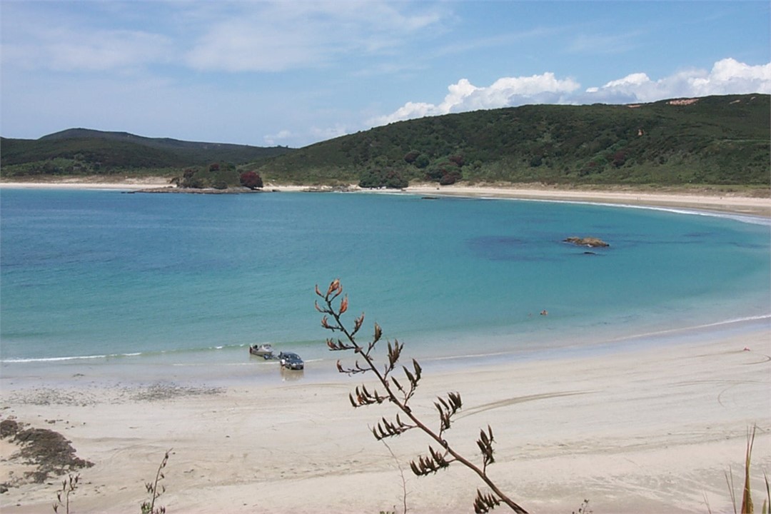 Waikato Bay - 10 minutes by car