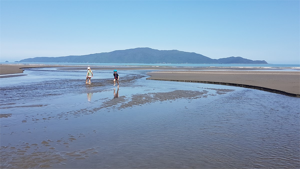 Waimea stream estuary