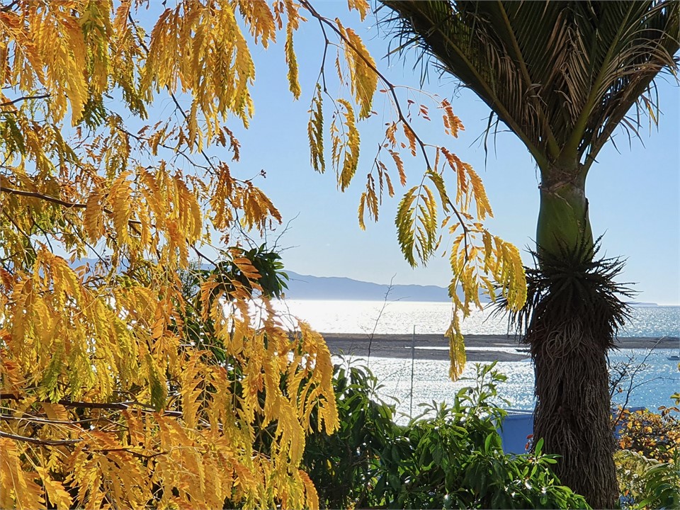 Kimberley Two - View from the Balcony