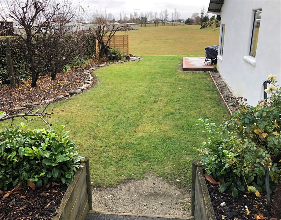 fruit trees in garden