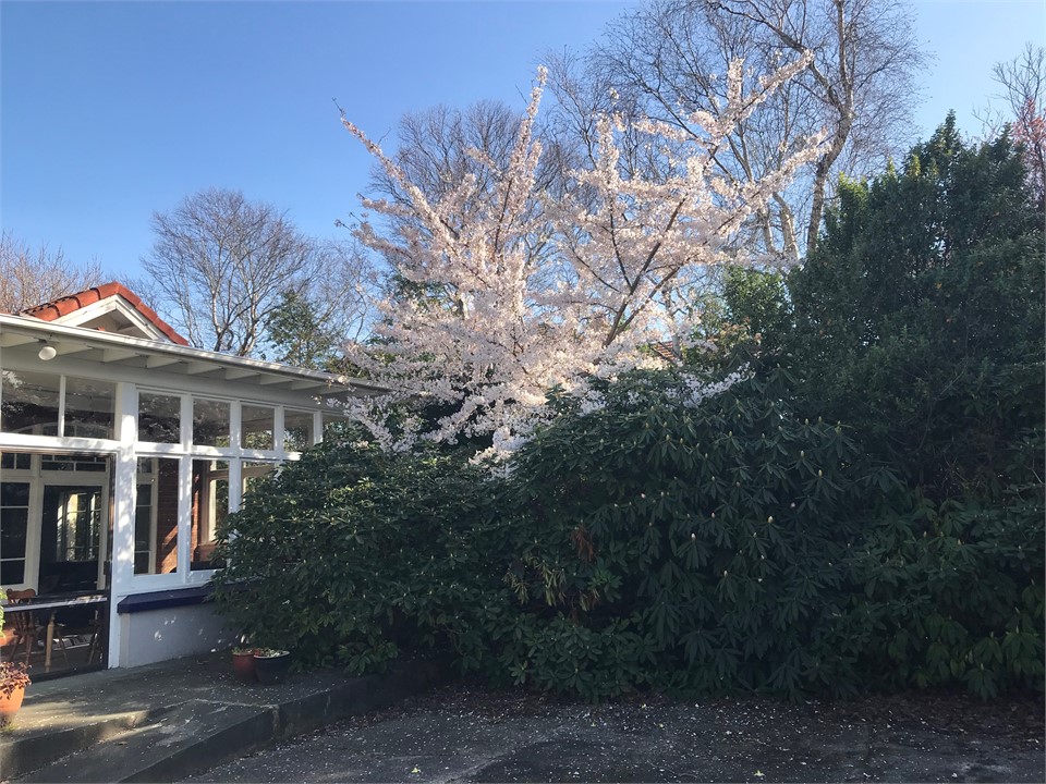 Lovett Lodge - Exterior outside conservatory