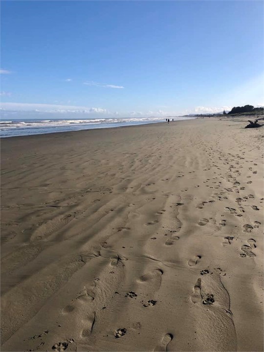 Waikanae Beach