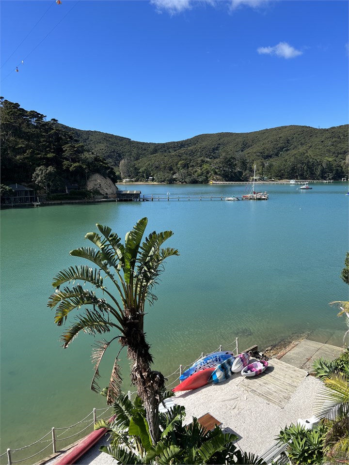 View of North Cove from Kawau Lodge