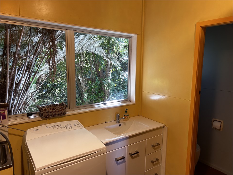 toilet and laundry shower