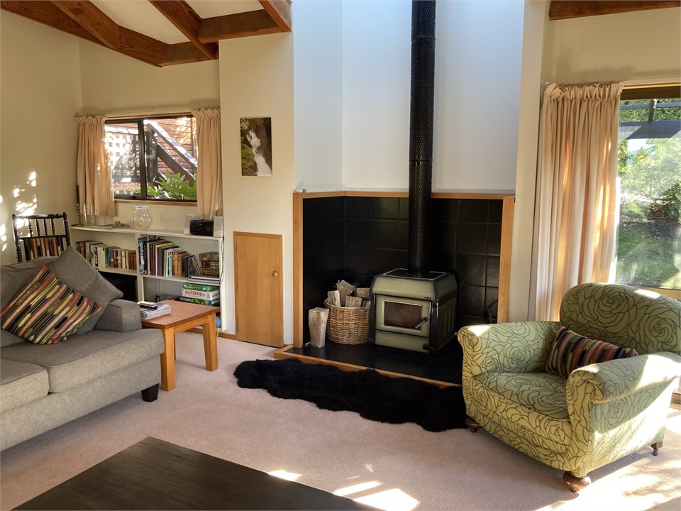 Wood burinng fire - firewood supplied