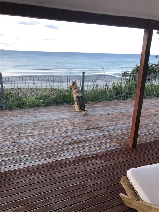 "Waiting For Buller"