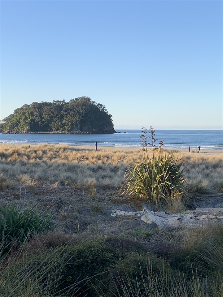 Local beach featuring Rabbit Island