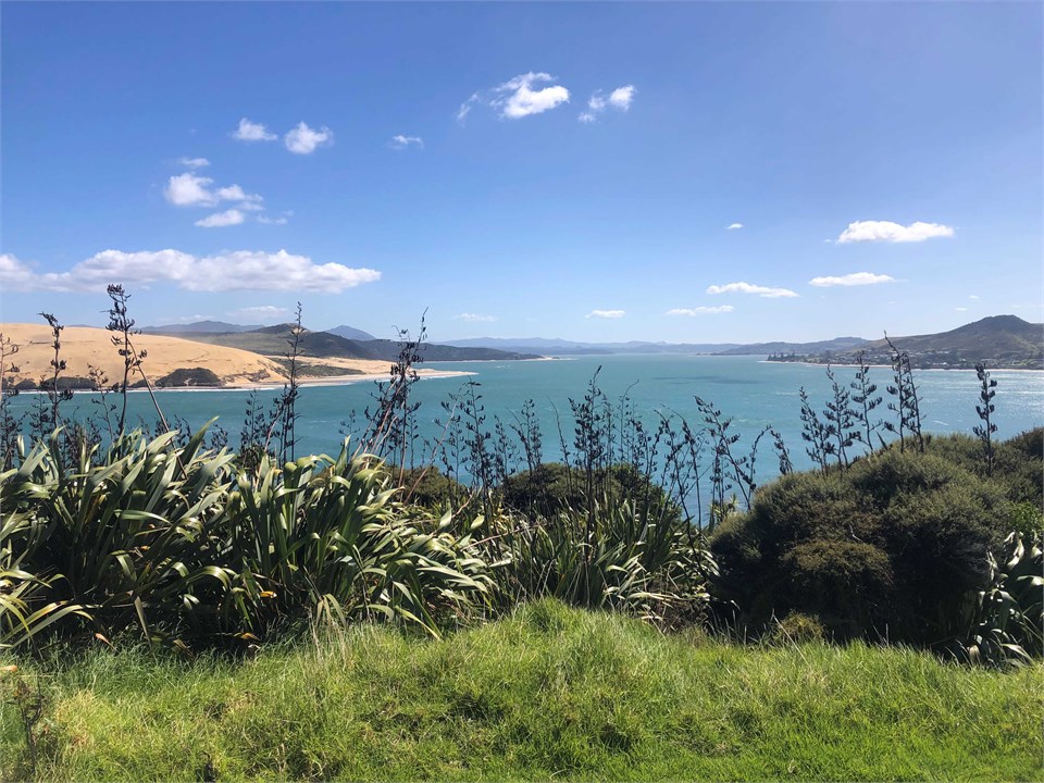 Nearby Arai Te Uru Reserve