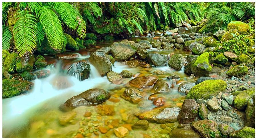 Walking @Maraetotara stream to the waterfall