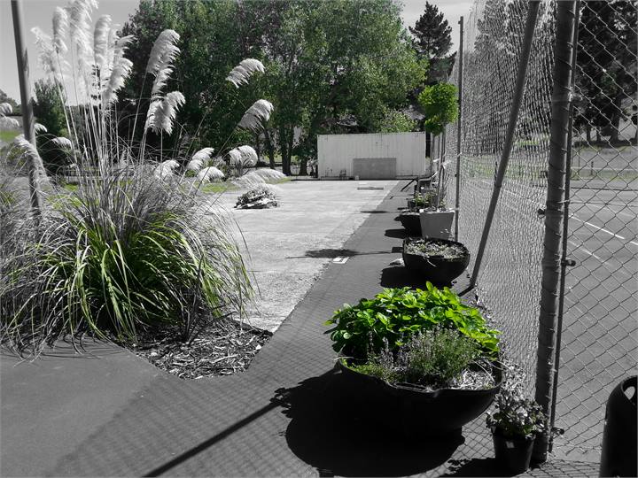 Help yourself to the herbs and any veges or fruit