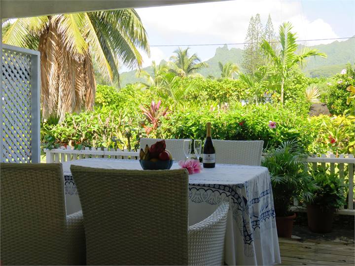 Ferns Veranda looking out